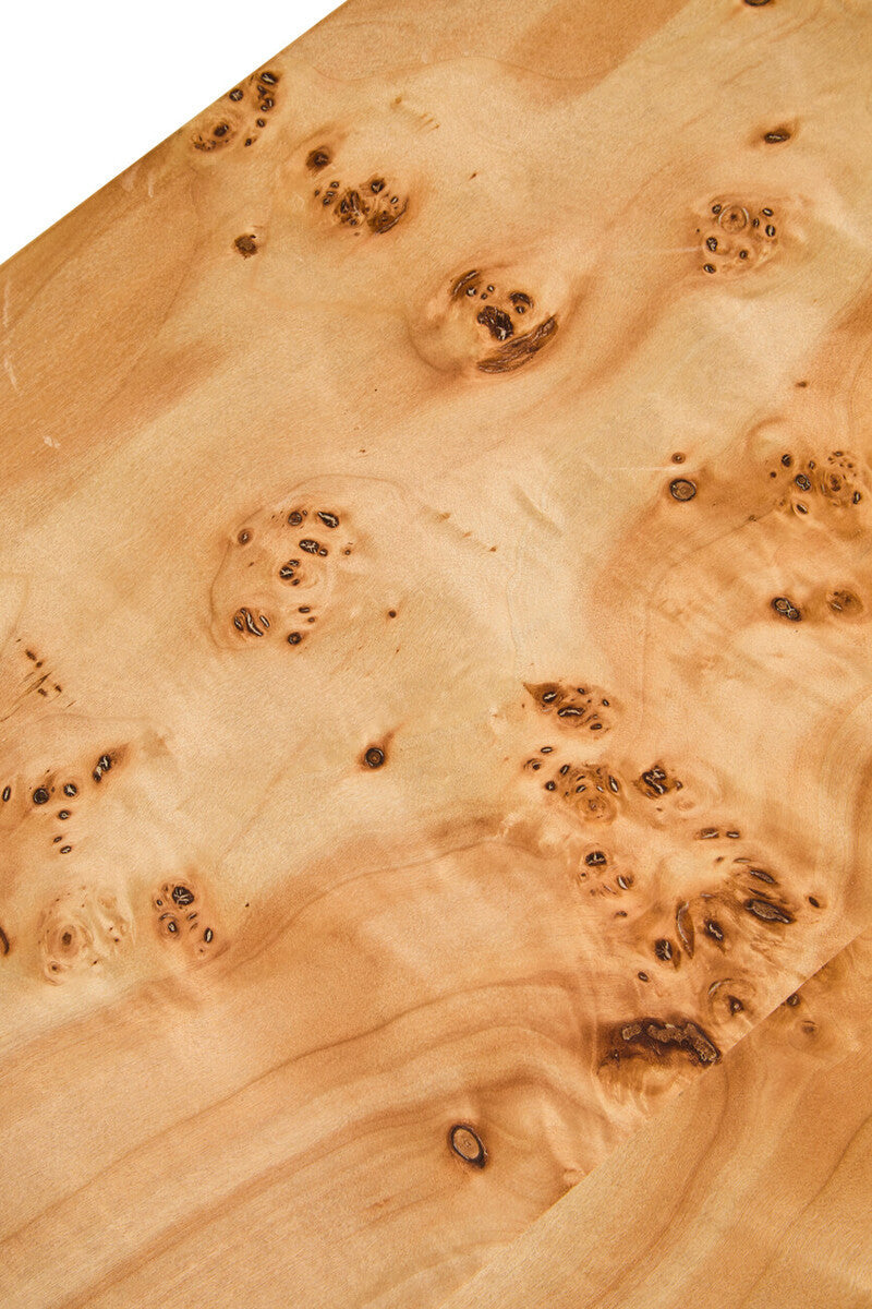 Natural Burl Wood Curved Coffee Table with Smooth Curved Edges | Mota
