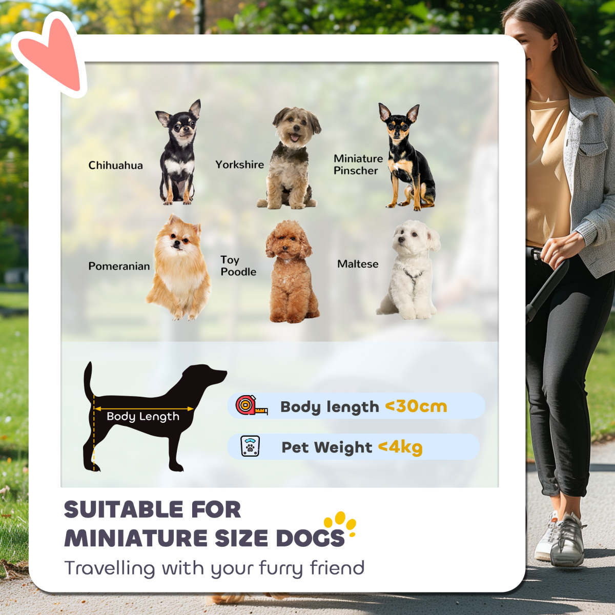 https://avasamnew.s3.amazonaws.com/product/GB010126/S0671634675/3.png