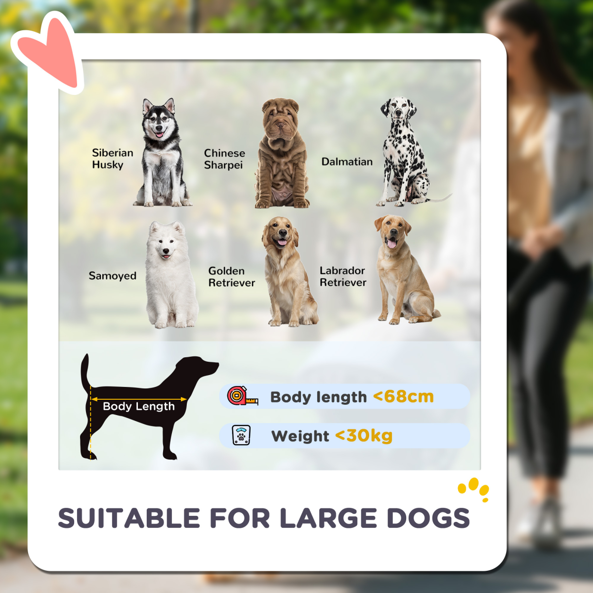 https://avasamnew.s3.amazonaws.com/product/GB010126/S0671634682/3.png