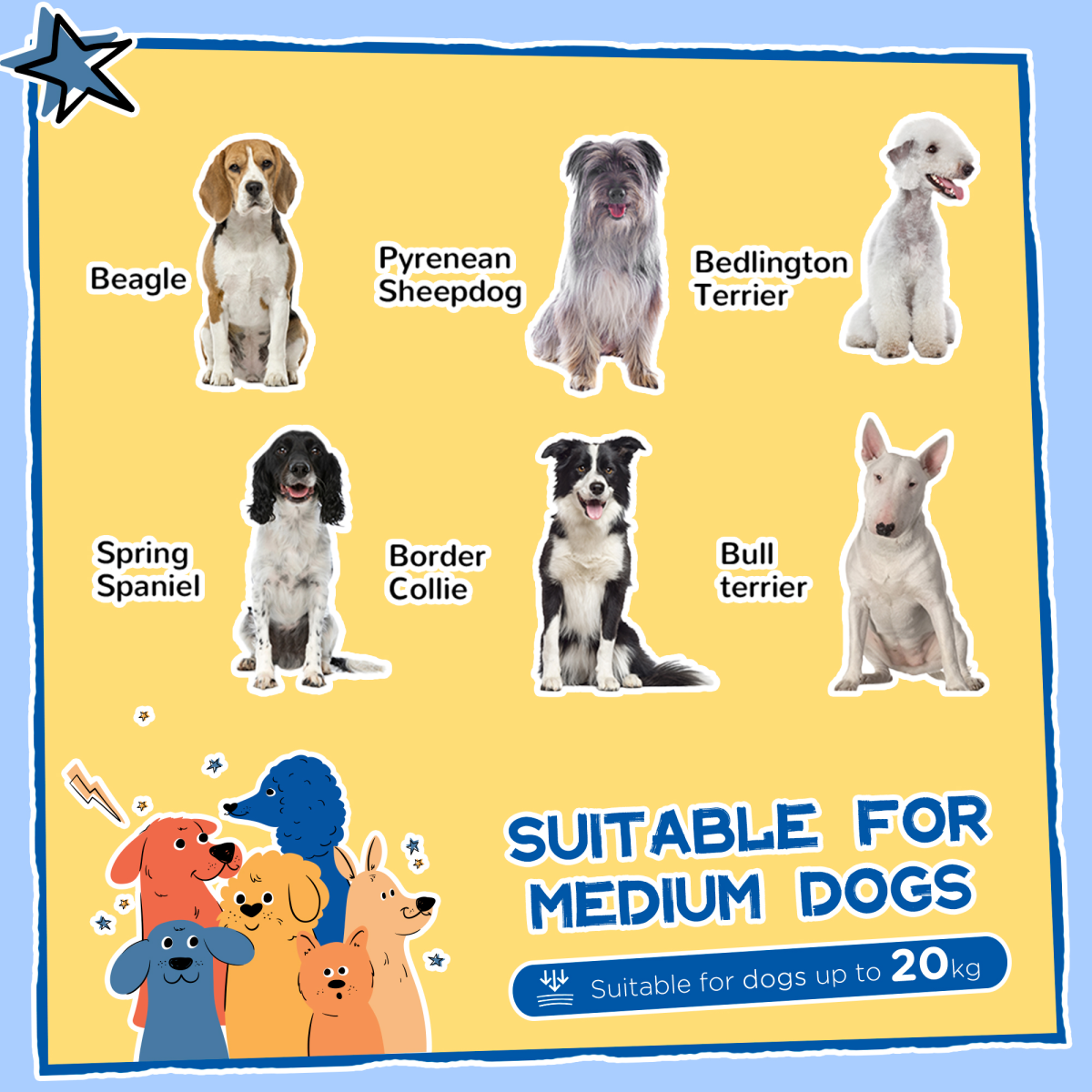 https://avasamnew.s3.amazonaws.com/product/GB010126/S0671634626/3.png