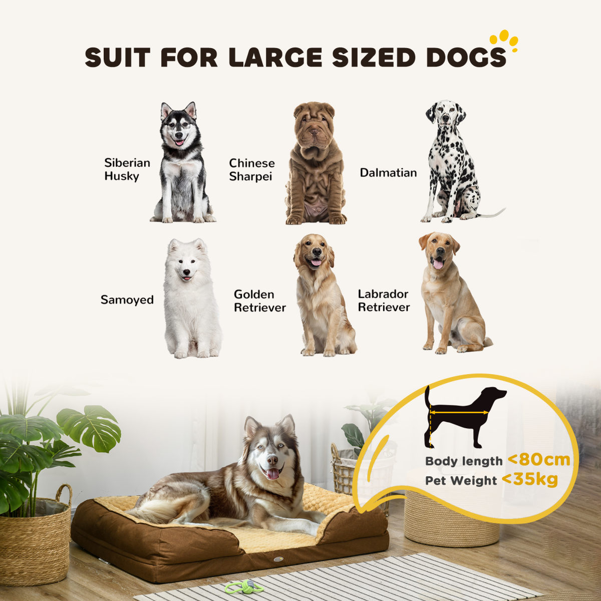 https://avasamnew.s3.amazonaws.com/product/GB010126/S0671536800/4.png