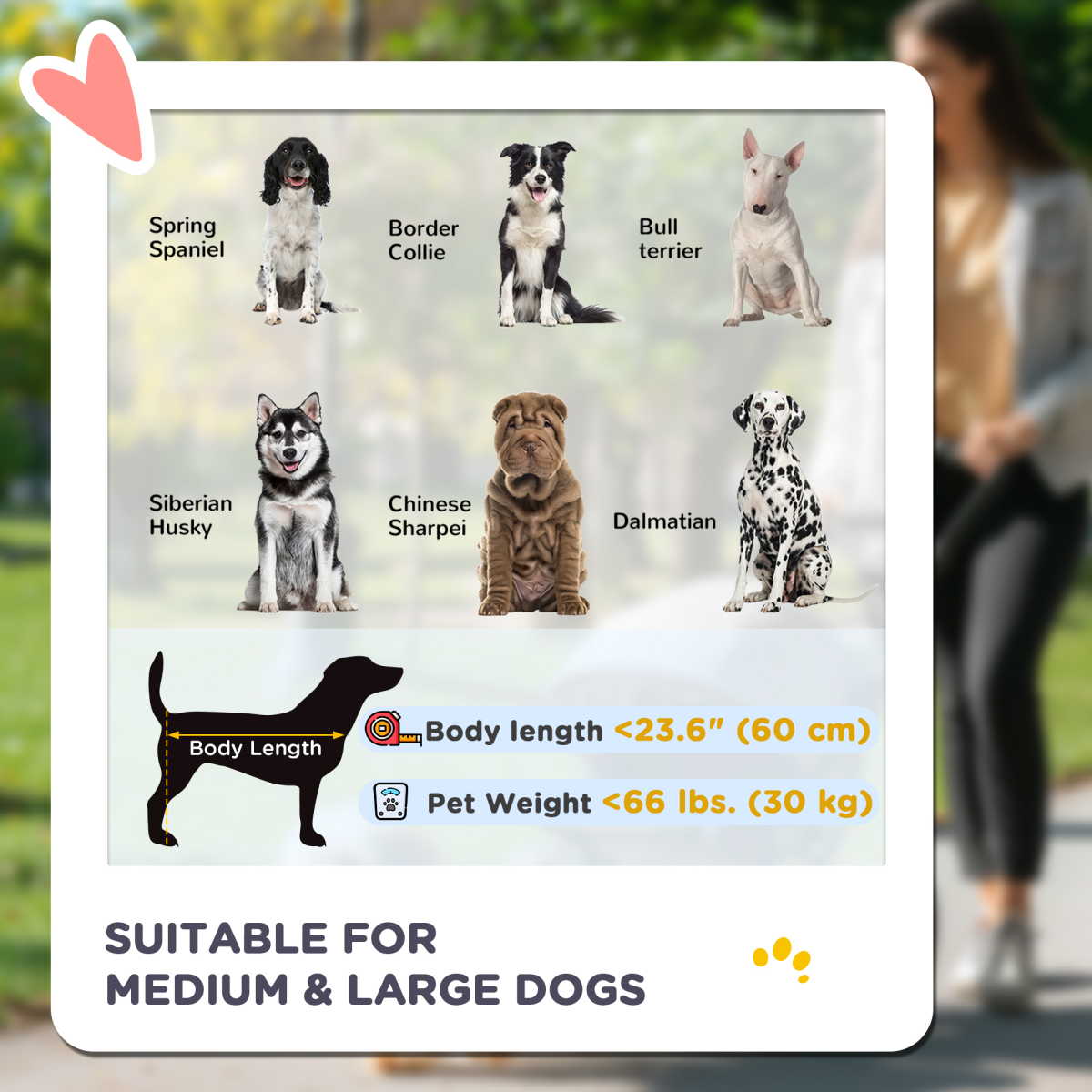 https://avasamnew.s3.amazonaws.com/product/GB010126/S0671114639/4.png