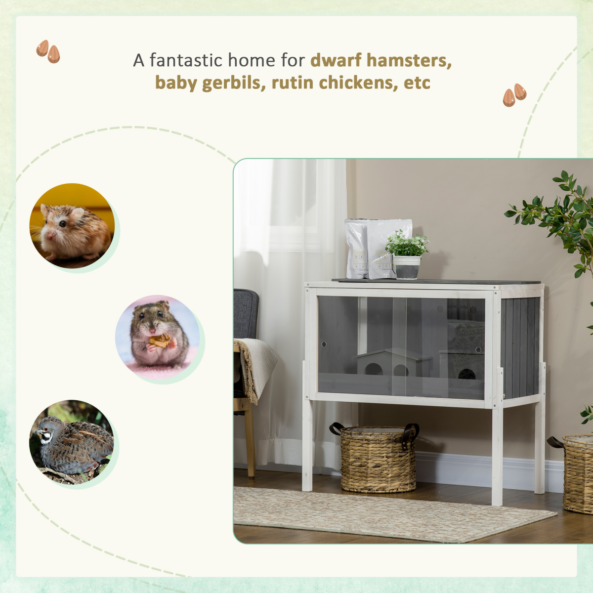 https://avasamnew.s3.amazonaws.com/product/GB010126/S0671114546/4.png