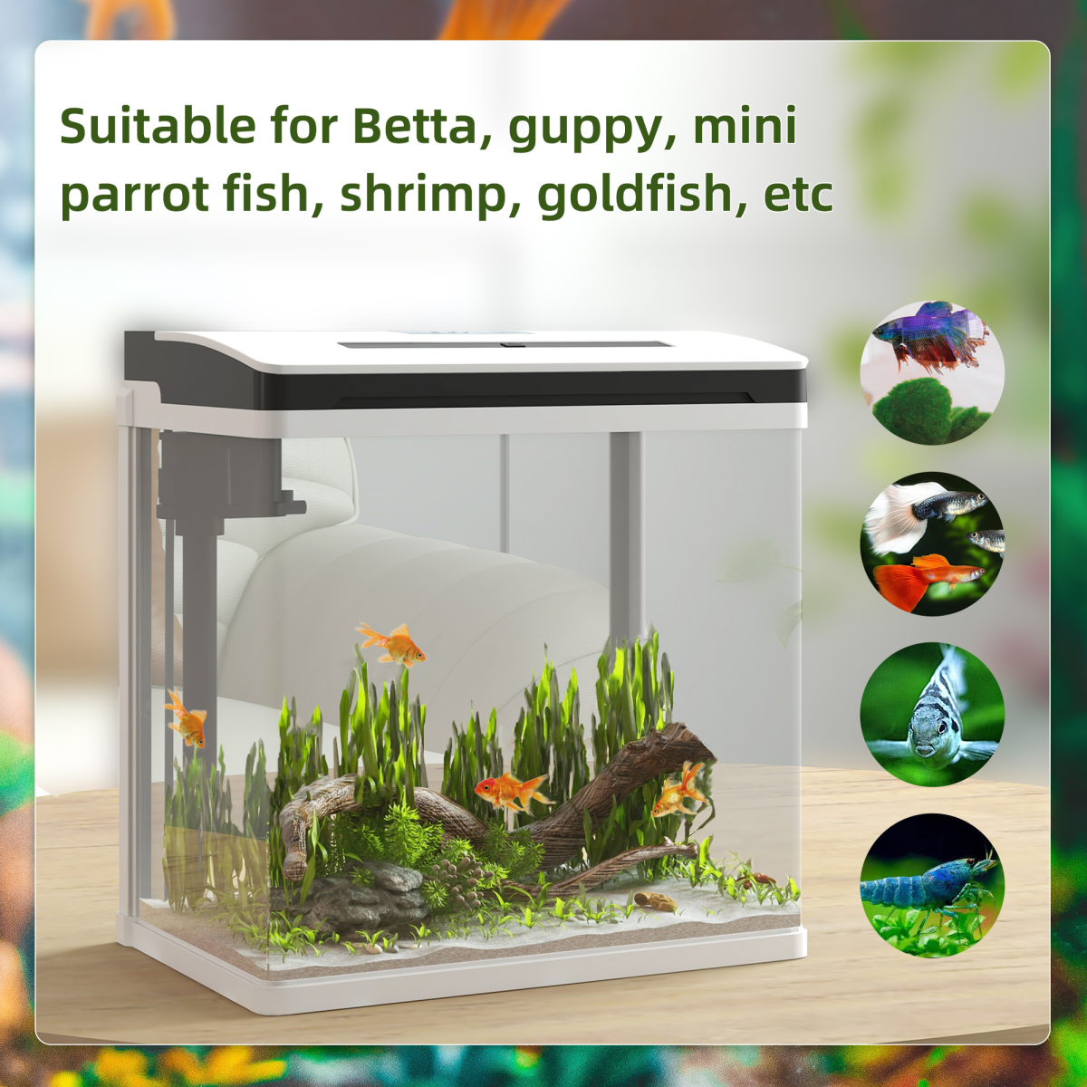 https://avasamnew.s3.amazonaws.com/product/GB010126/S0671383433/4.png