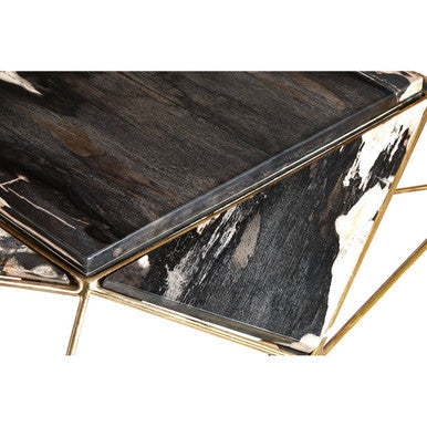 Rustic Dark Petrified Wood Coffee Table with Gold Brass Geometric Frame | Relic