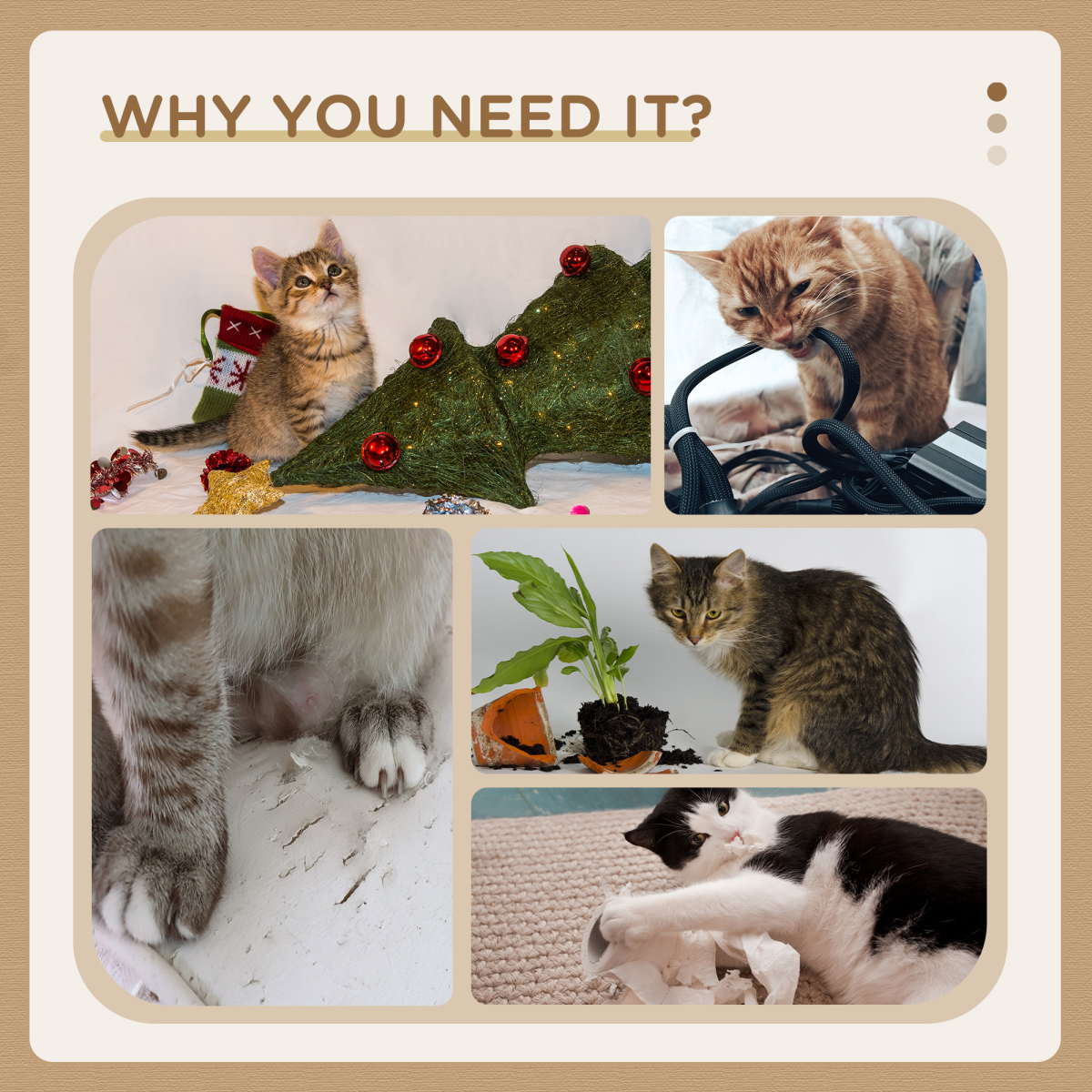 https://avasamnew.s3.amazonaws.com/product/GB010126/S0671379748/5.png