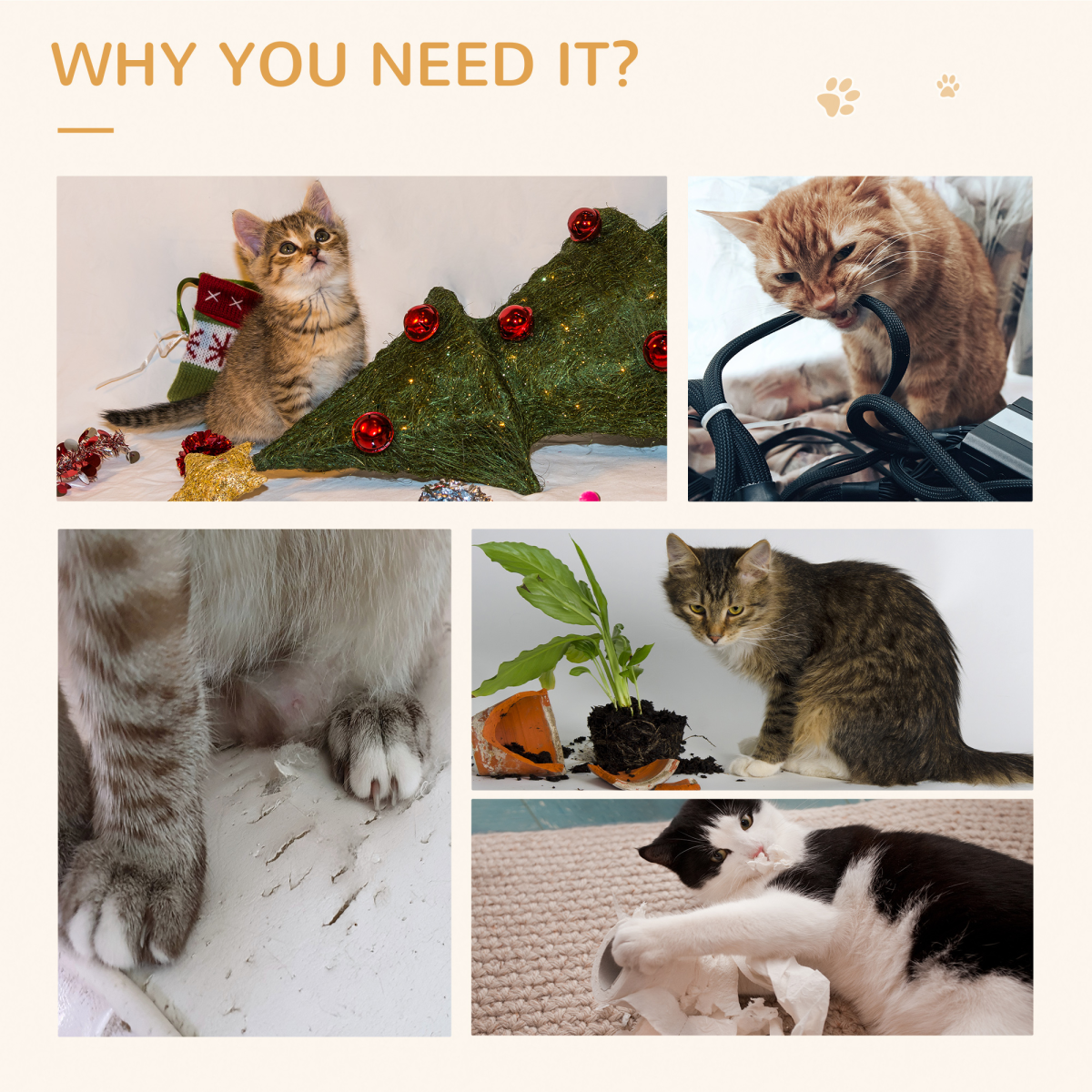https://avasamnew.s3.amazonaws.com/product/GB010126/S0671081233/6.png