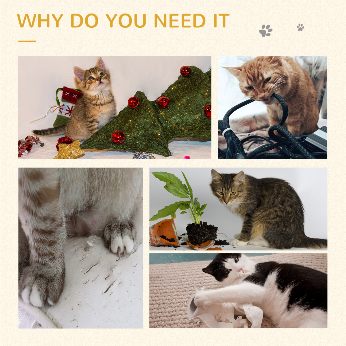 https://avasamnew.s3.amazonaws.com/product/GB010126/S0671081242/6.png