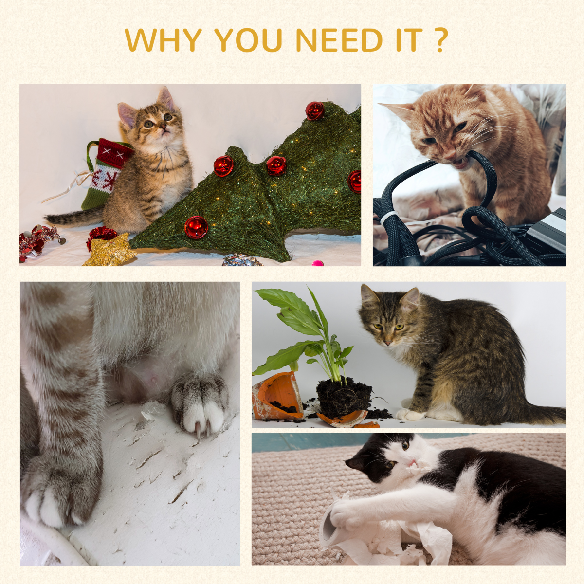https://avasamnew.s3.amazonaws.com/product/GB010126/S0671081201/6.png
