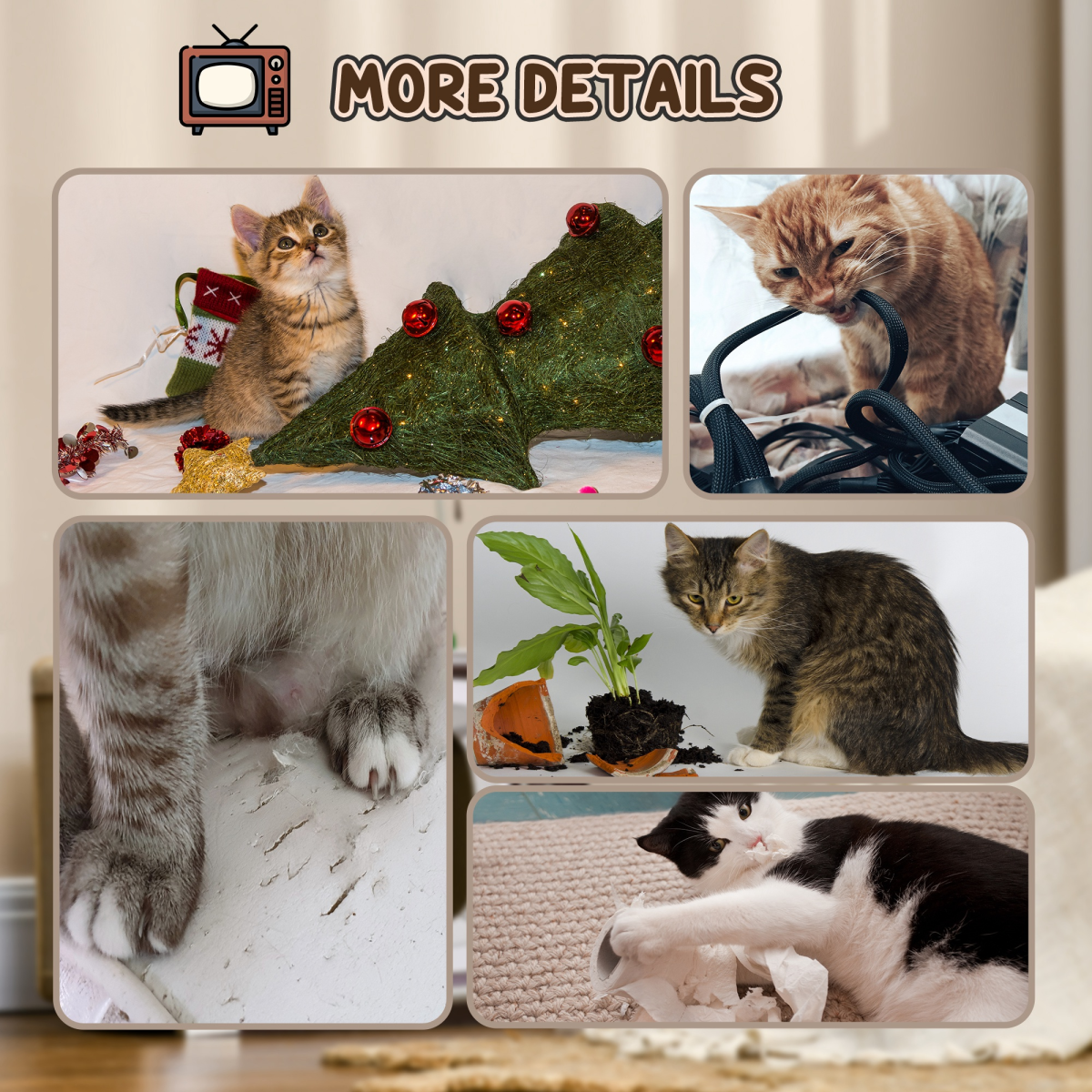 https://avasamnew.s3.amazonaws.com/product/GB010126/S0671379760/6.png