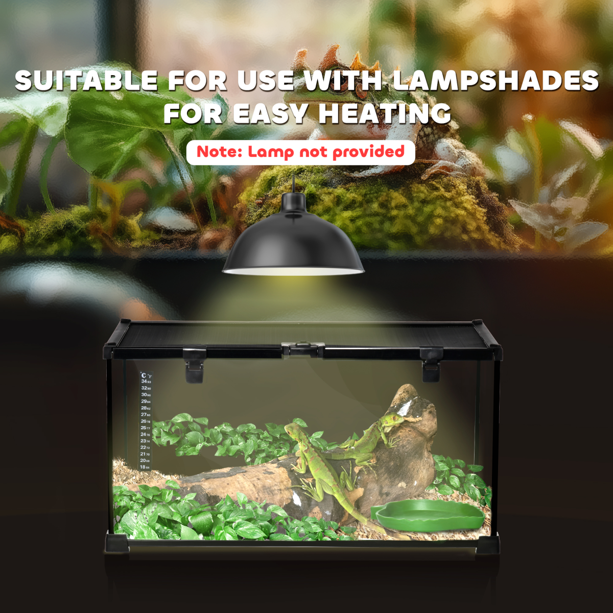 https://avasamnew.s3.amazonaws.com/product/GB010126/S0671081258/7.png