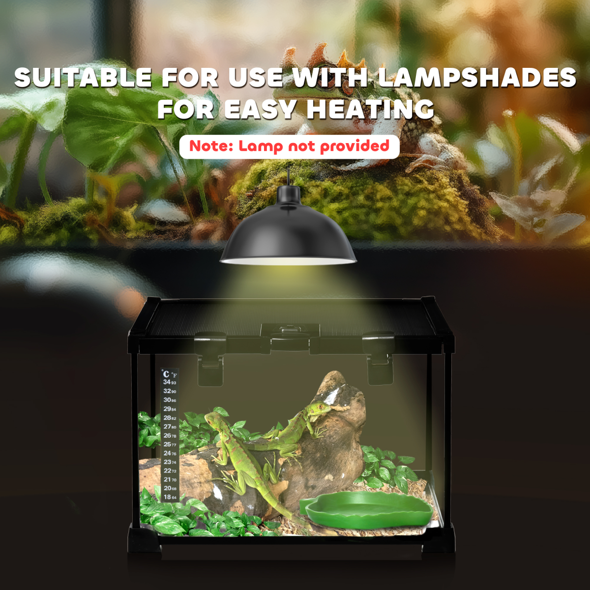 https://avasamnew.s3.amazonaws.com/product/GB010126/S0671081259/7.png