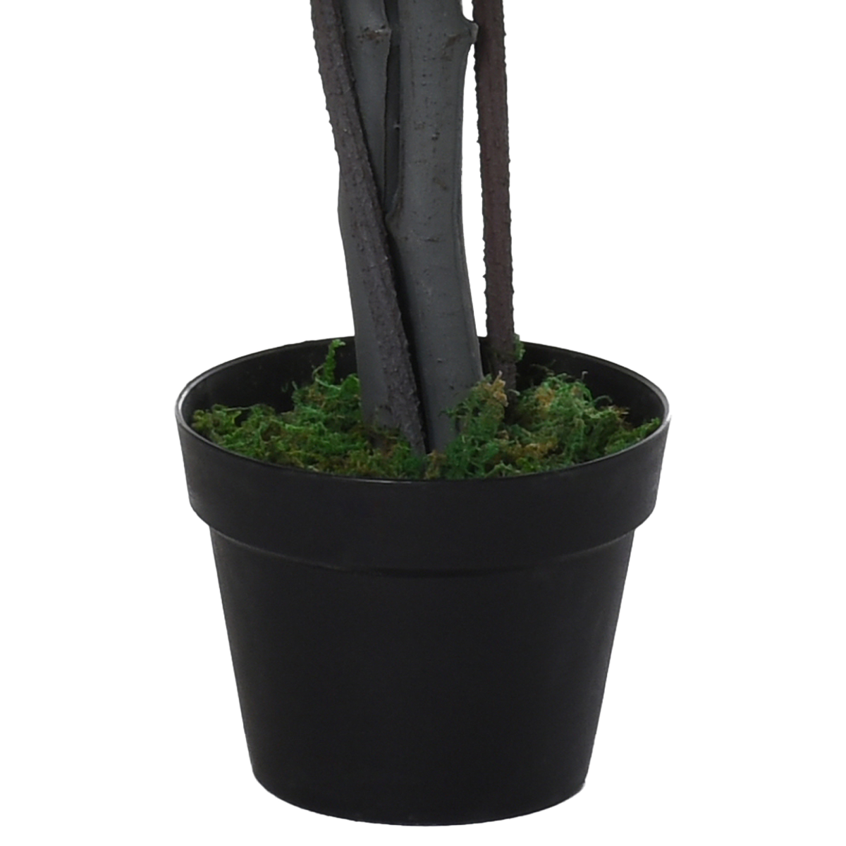 https://avasamnew.s3.amazonaws.com/product/GB010126/S0671080515/7.png