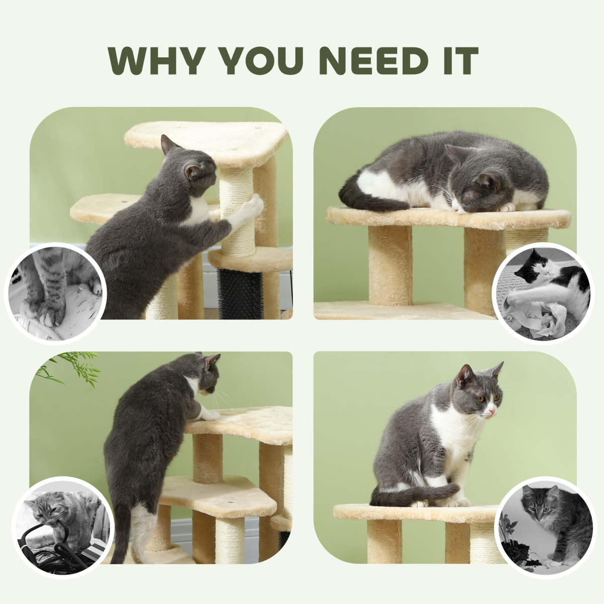 https://avasamnew.s3.amazonaws.com/product/GB010126/S0671580772/7.png