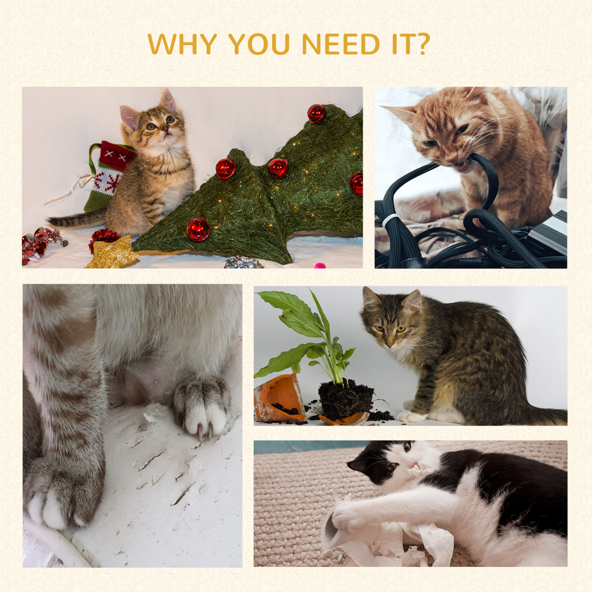 https://avasamnew.s3.amazonaws.com/product/GB010126/S0671379752/8.png