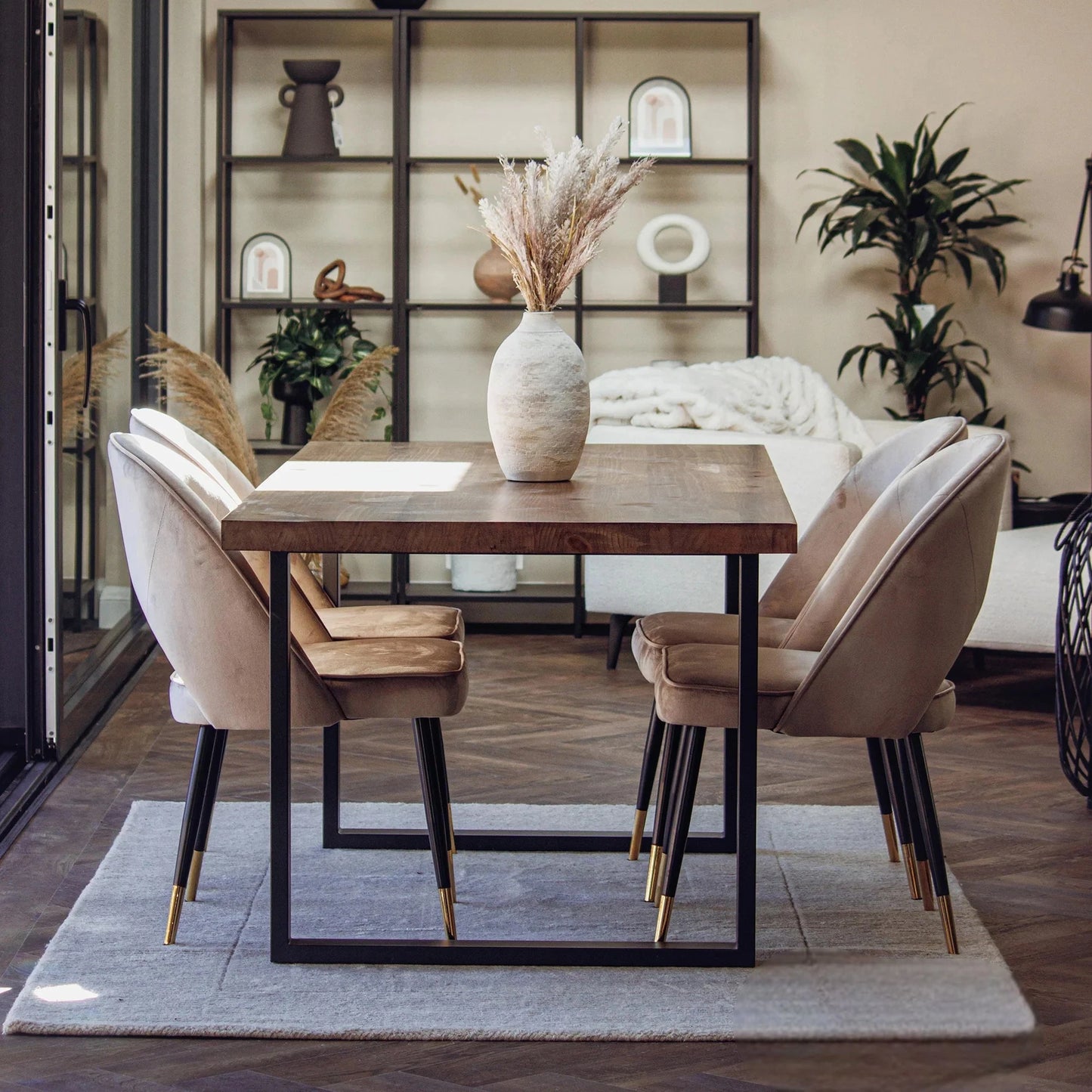 Luxury Bjorn Champagne Velvet Dining Chairs With Gold Tip Legs And Scandinavian Modern