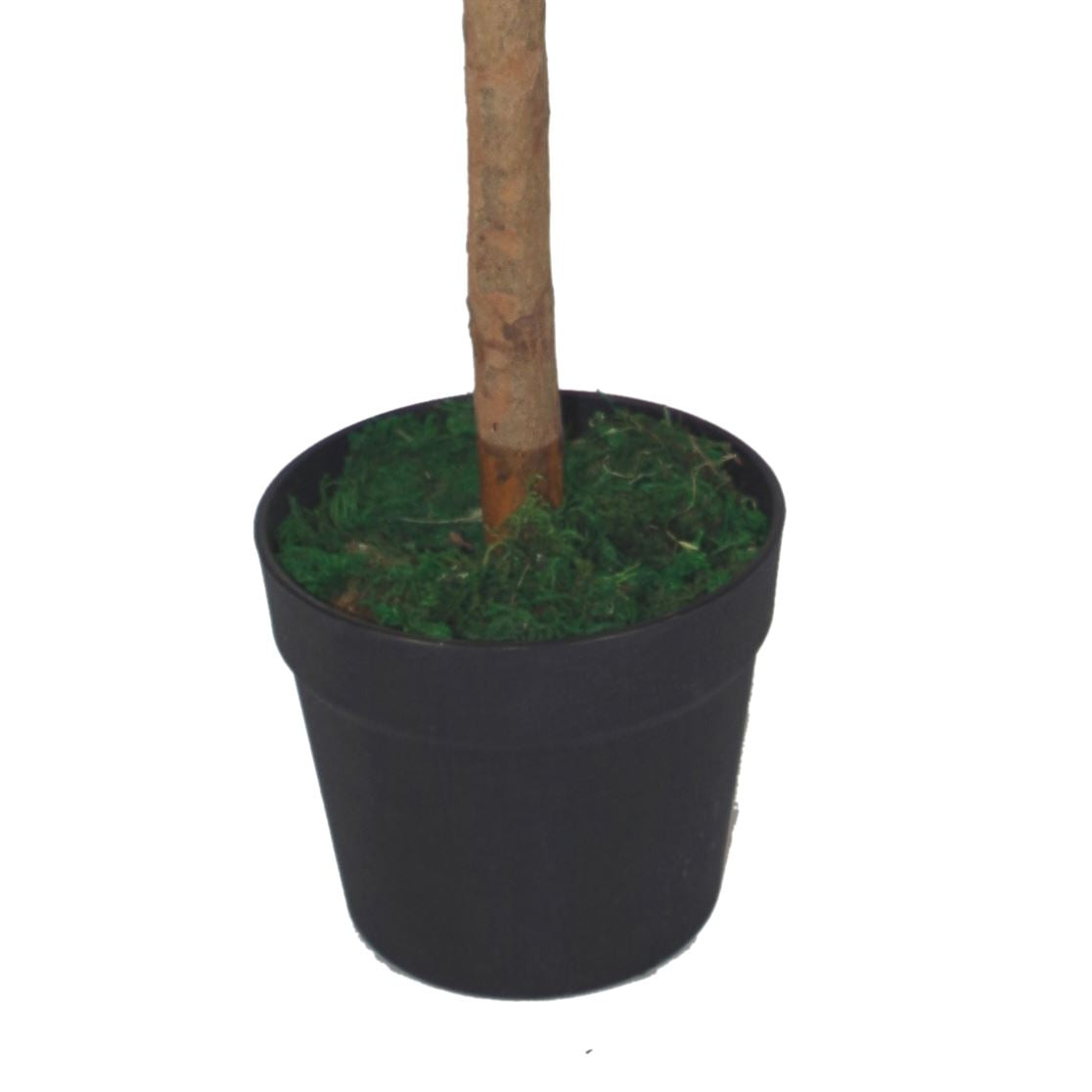 https://avasamnew.s3.amazonaws.com/live/GB010188/S0671438469_15.jpg