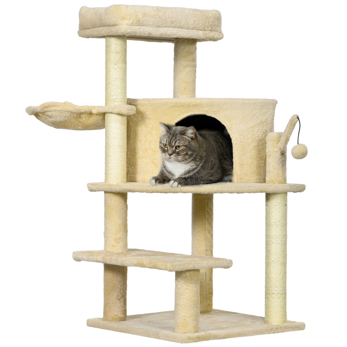 https://avasamnew.s3.amazonaws.com/product/GB010126/V0671440271/main.png