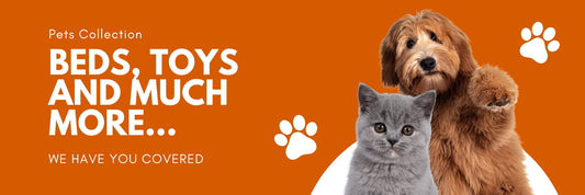 From Cosy Beds to Playful Toys – Baytana Has All Your Pet Needs