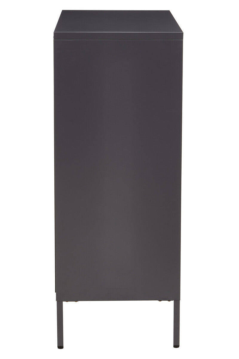 Acier Grey Metal and Glass Two Door Cabinet
