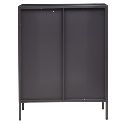 Acier Grey Metal and Glass Two Door Cabinet