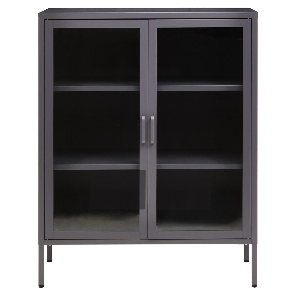 Acier Grey Metal and Glass Two Door Cabinet