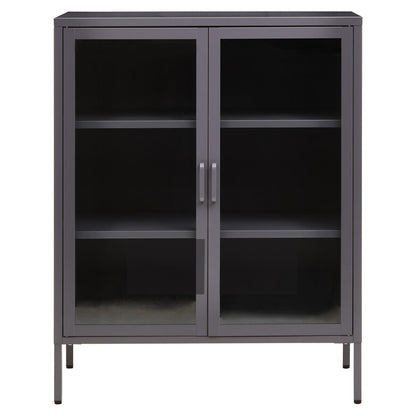 Acier Grey Metal and Glass Two Door Cabinet