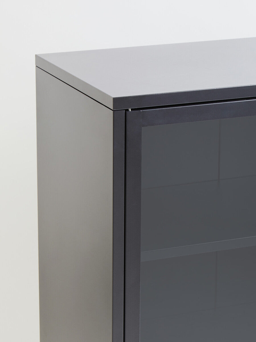 Acier Grey Metal and Glass Two Door Cabinet