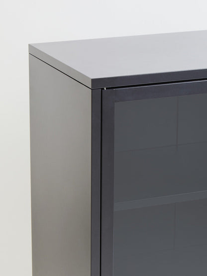 Acier Grey Metal and Glass Two Door Cabinet