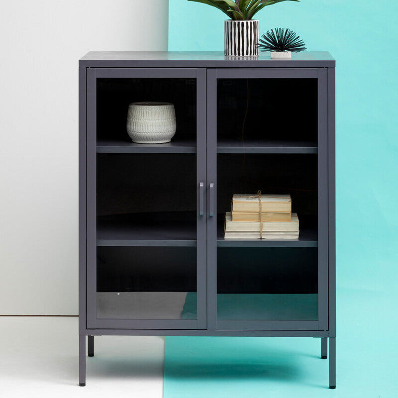 Acier Grey Metal and Glass Two Door Cabinet