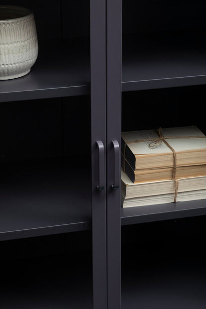 Acier Grey Metal and Glass Two Door Cabinet