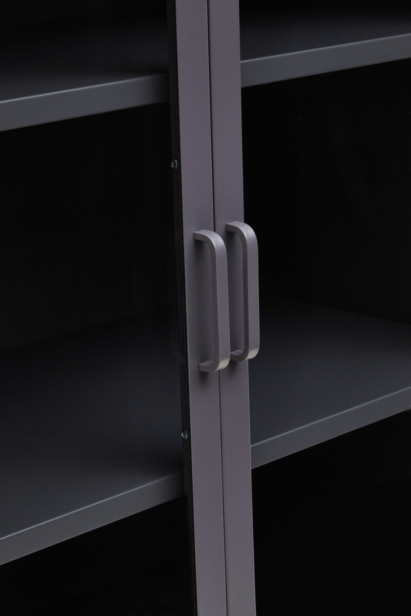 Acier Grey Metal and Glass Two Door Cabinet