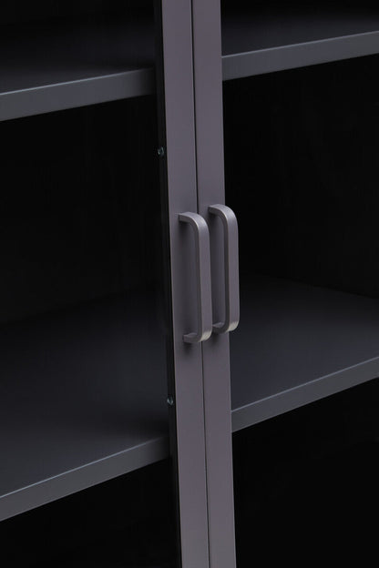 Acier Grey Metal and Glass Two Door Cabinet