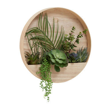 Mixed Succulents in Wood Wall Planter | Fiori