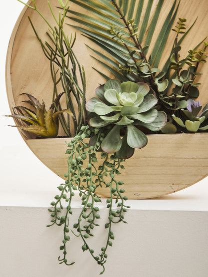 Mixed Succulents in Wood Wall Planter | Fiori