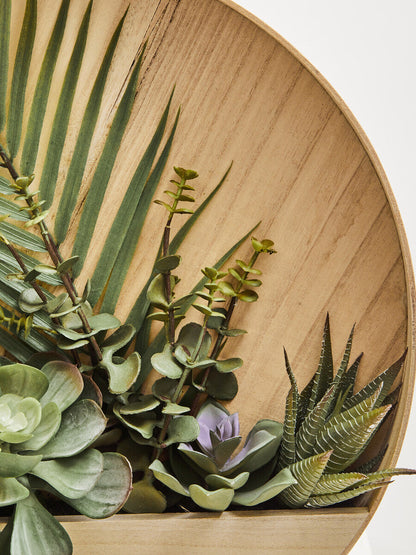 Mixed Succulents in Wood Wall Planter | Fiori
