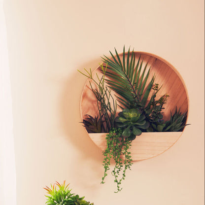 Mixed Succulents in Wood Wall Planter | Fiori