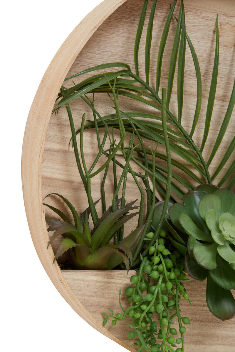 Mixed Succulents in Wood Wall Planter | Fiori