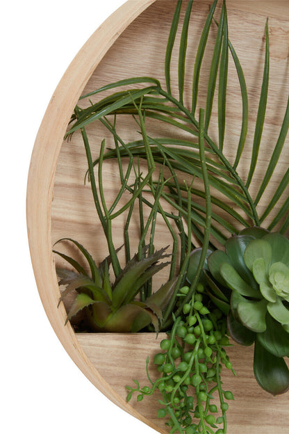 Mixed Succulents in Wood Wall Planter | Fiori