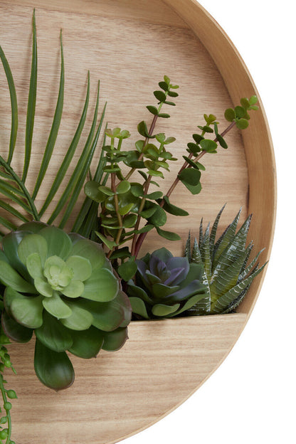 Mixed Succulents in Wood Wall Planter | Fiori