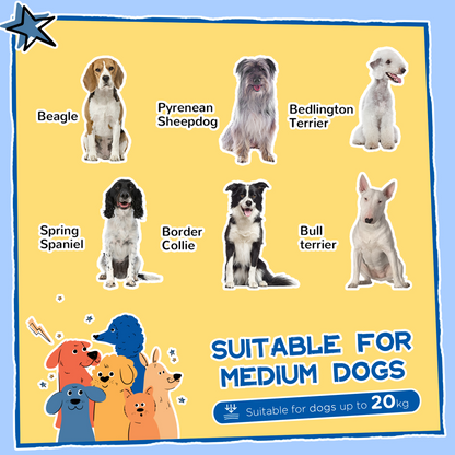https://avasamnew.s3.amazonaws.com/product/GB010126/S0671634626/3.png