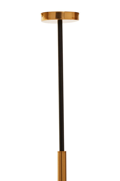 Twelve Bulb Pendant Light | Trieste