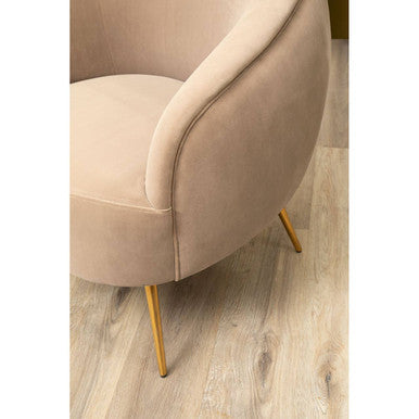 Manhattan Mink Velvet Accent Chair with Curved Back