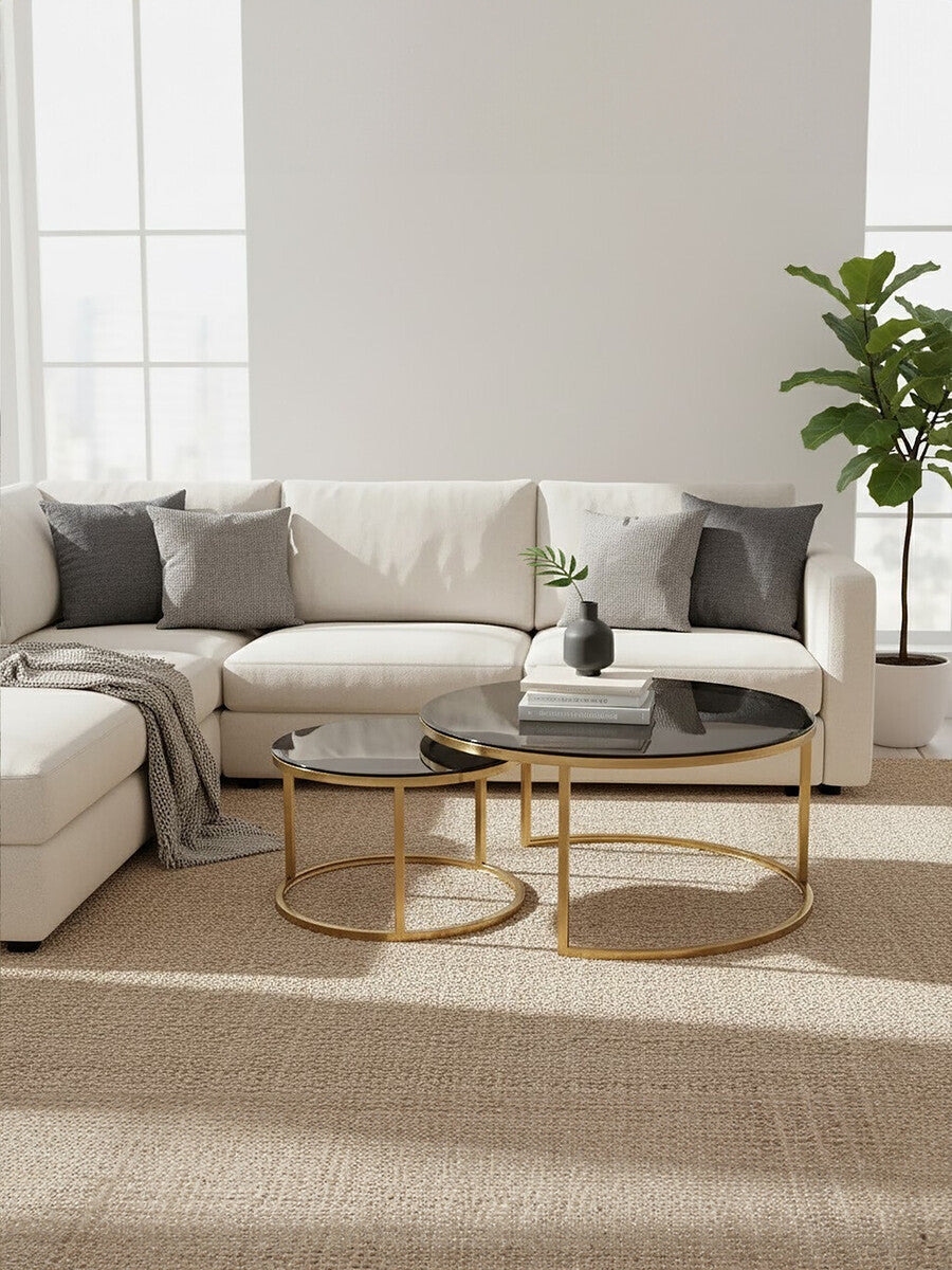 Alana Gold Finish and Tinted Glass Set of 2 Nesting Coffee Tables