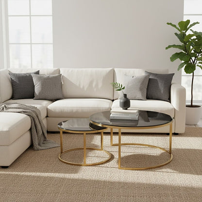Alana Gold Finish and Tinted Glass Set of 2 Nesting Coffee Tables