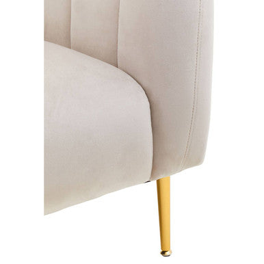 Yasmeen Silver Grey Velvet Barrel Back Armchair with Gold Finish Legs