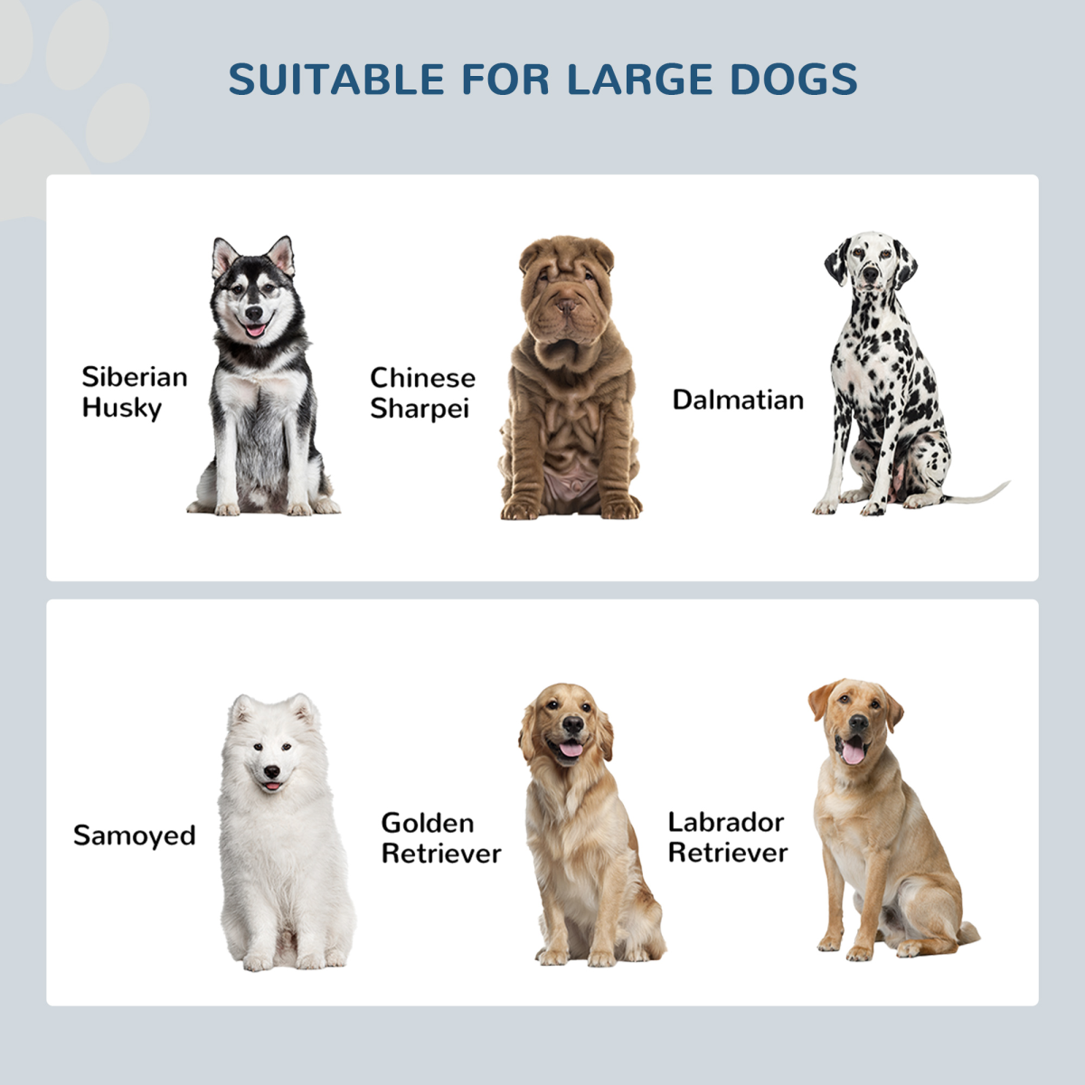 https://avasamnew.s3.amazonaws.com/product/GB010126/S0671081367/8.png