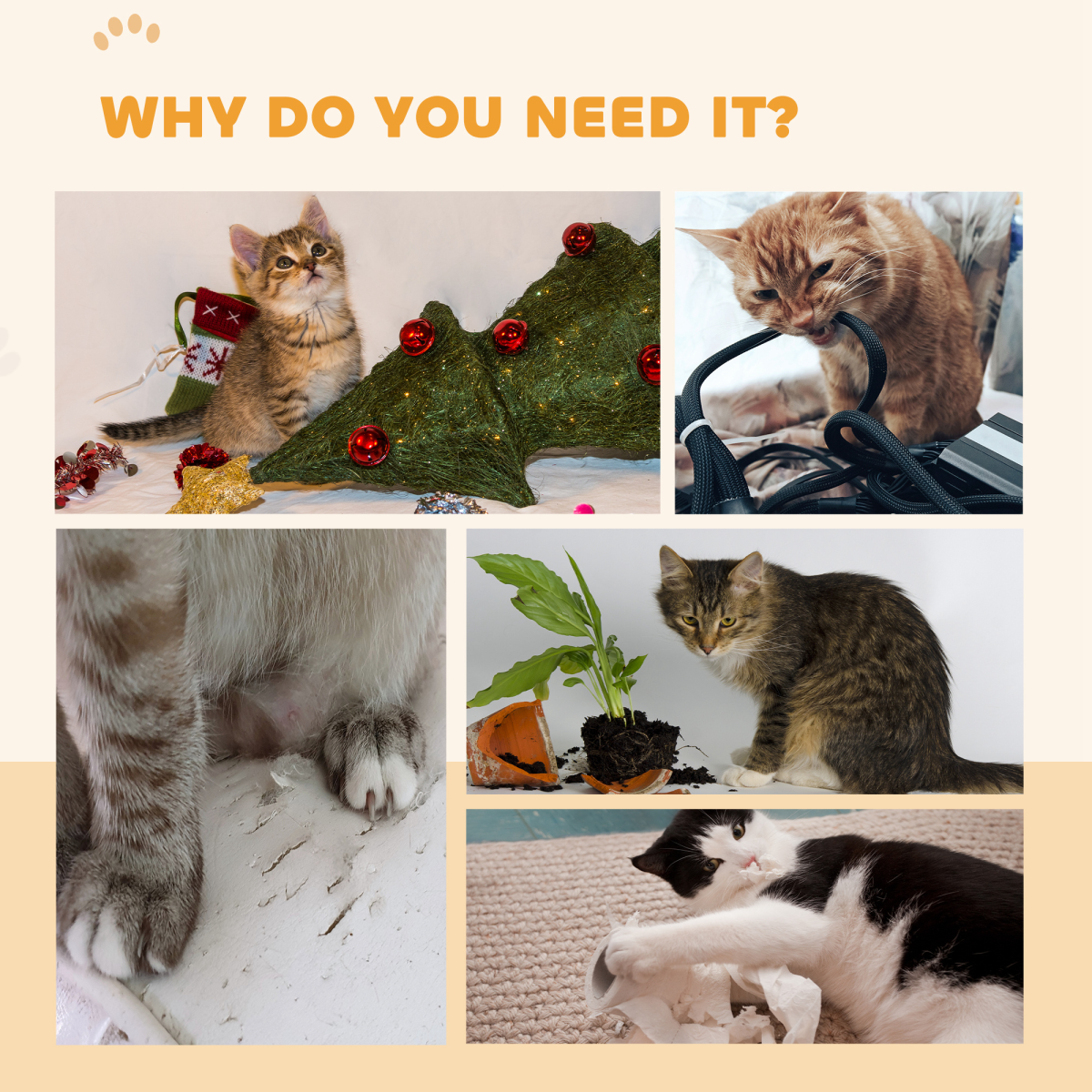 https://avasamnew.s3.amazonaws.com/product/GB010126/S0671607216/8.png