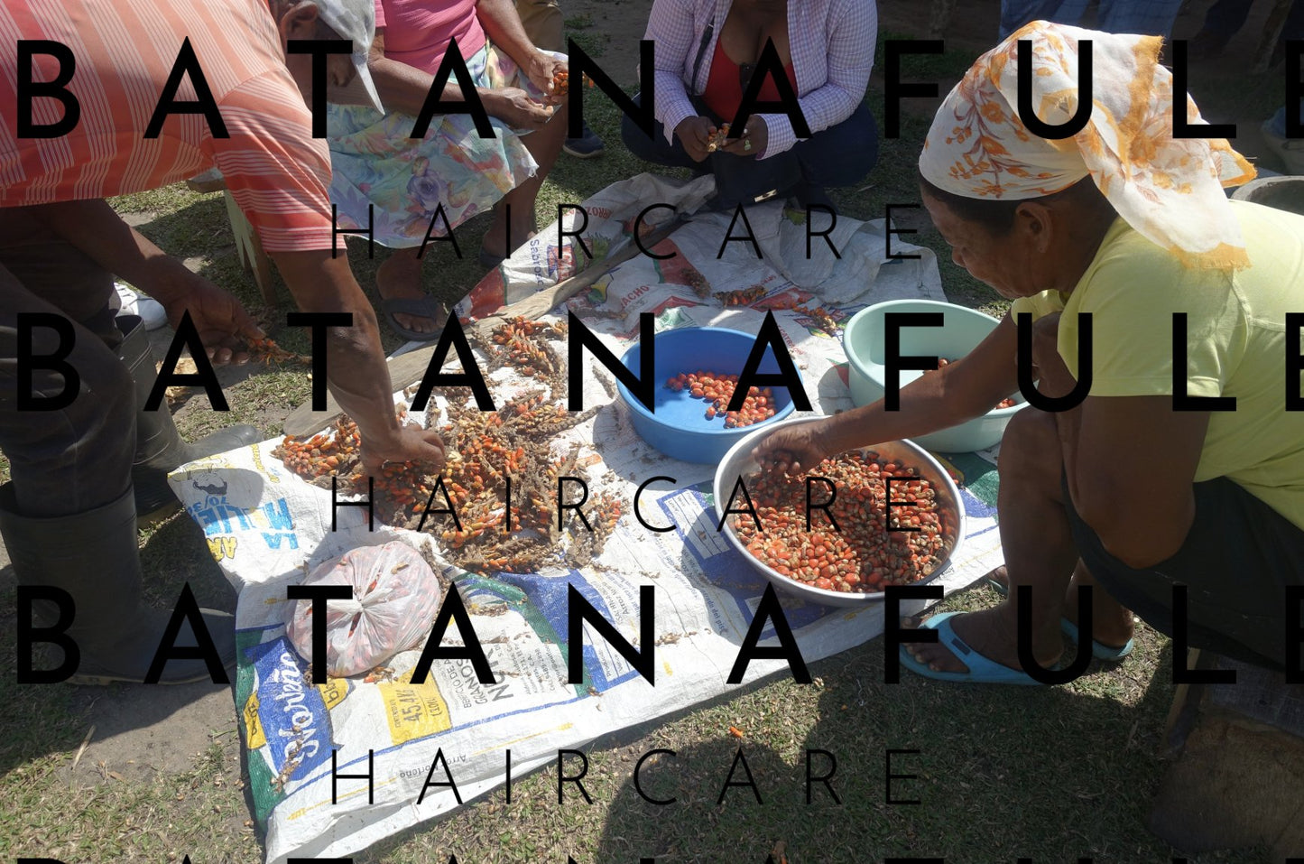 Pure Batana Oil  #1 Authentic Hair Growth & Repair Oil from Honduras