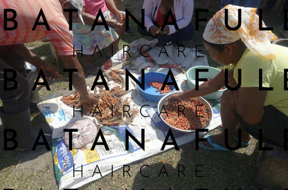 Pure Batana Oil  #1 Authentic Hair Growth & Repair Oil from Honduras